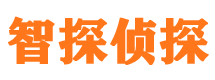 平乐市侦探公司